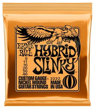 ErnieBall Ernie Ball 2222