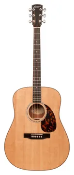 Larrivee D-05