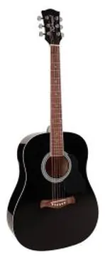 Richwood Artist Series Acoustic Guitar RD-12-BK Black