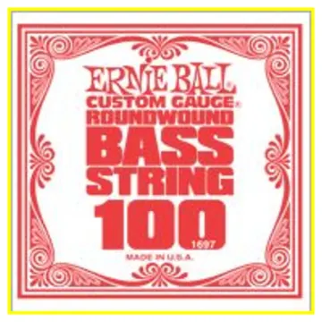 Ernie Ball 1697 - corda .100 - avvolgitura in acciaio nichela