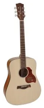 Richwood All Solid Master Series, Custom Shop, Dreadnought, Acoustic Guitar, D-220