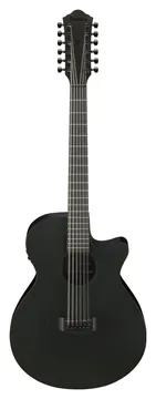 Ibanez AEG1221BOT Black Out