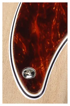 Boston PB-415-T pickguard