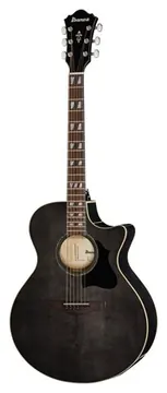 Ibanez AE170-TBK