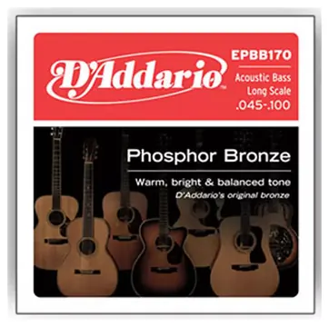 D'Addario D’addario EPBB170 45-100