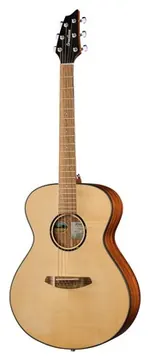Breedlove Discovery S Concert