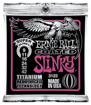 ErnieBall Ernie Ball 3123
