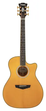 D'Angelico Gramercy Vintage Natural