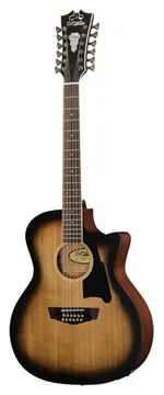 DAngelico Premier Fulton Aged Burst