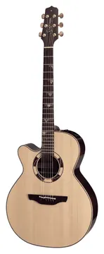 Takamine DSF48C Nex Santa Fe CW Natural Gloss