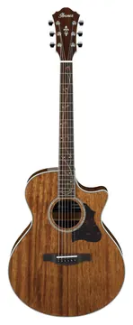 Ibanez AE245-NT