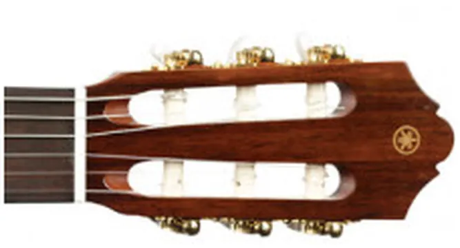 Daddario D'Addario Capo/Transpositor PW-CP-13
