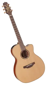 Takamine P3MC
