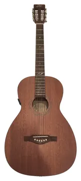 Eko Duo P200e Chitarra acustica Parlor