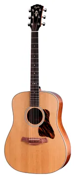 Taylor Gold Label 510e