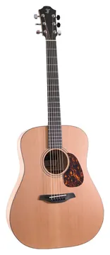 Furch Blue Dread Cm Lrb1