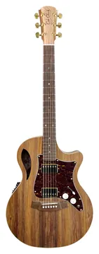 Cole Clark Tl2Ec-Blbl-Hh Etui