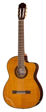 Takamine GC5CE Natur