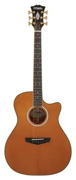 DAngelico Excel Gramercy Vintage Natural