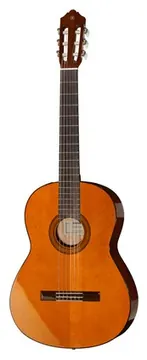Yamaha CGX 102