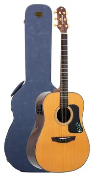 Strinberg DD6S RT N Natural Brilhoso Linha Diamond De Aço C/ Case
