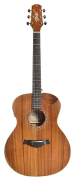 Seizi Nagoya Kaizen EQ - Koa - C/ Bag