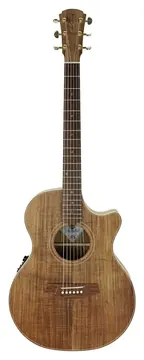 Cole Clark Touring Series Thinline TL 2 EC Blackwood/Blackwood