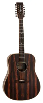 Tanglewood Reunion Pro 5-12 AE Ebony