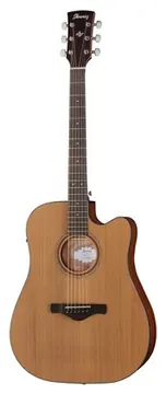 Ibanez AW65ECE-LG