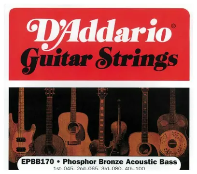 D'addario EPBB170 Phopshor Bronze Acoustic Bass