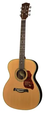 Richwood Master Series A-65-VA handmade auditorium OOO guitar