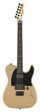 Fender Telecaster Jim Root Ebo Shoreline Gold