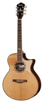 Ibanez MRC10-NT