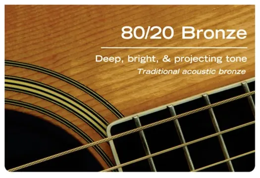 D'addario EJ10