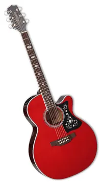Takamine GN75CEWR