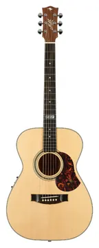 Maton EBG808 Tommy Emmanuel Westerngitaar met Element
