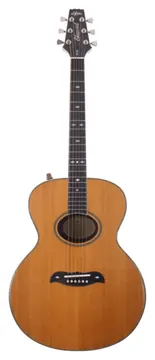 Aria Elecord Electro Acoustic Light Vintage SB