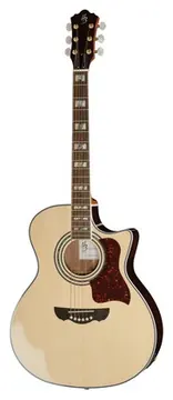 Harley Benton CLJ-503CE WN