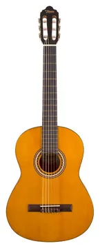 Valencia 1/2 Size Classical VC202NA