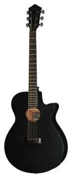 Ibanez AEG621-BOT