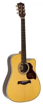 Richwood All Solid Master Series D-265-CVA custom shop dreadnought