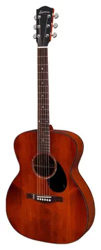 Eastman PCH1-OM