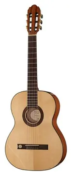 Gewa Pro Arte GC100A