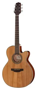 Takamine GN20CE-N