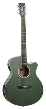 Tanglewood Winterleaf TW4 E FG - Green Gloss