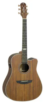 Strinberg SD300C WS Folk C/ Bag