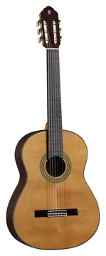 Eko Guitars Vibra 500 Mario Gangi
