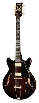 Ibanez AMH100FM-DVS