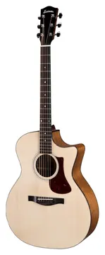 Eastman AC222CE