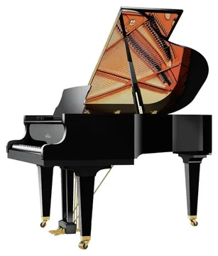 Schimmel C169T Tradition Vleugel